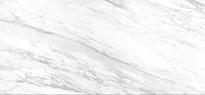 Плитка Apavisa Elegance White Polished Block A 119.3x260 см, поверхность полированная