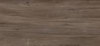 Плитка Apavisa Junoon Brown 119.3x260 см, поверхность матовая, рельефная