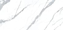 Плитка Apavisa Statuario Extra White Polished Bookmatch Block-A 162x324 см, поверхность полированная