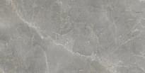 Плитка Ape Augustus Grey Natural 60x120 см, поверхность матовая