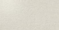 Плитка Ape Greystone Divine Beige 60x120 см, поверхность матовая