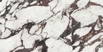 Плитка Ape Medicea Marble Pol 60x120 см, поверхность полированная