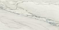 Плитка Ape Michelangelo Matt 60x120 см, поверхность матовая