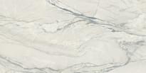 Плитка Ape Michelangelo Polished 60x120 см, поверхность полированная