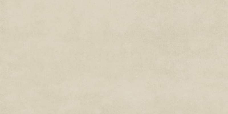 Плитка Ape Raw Toasted Smooht Rect 60x120 см, поверхность матовая