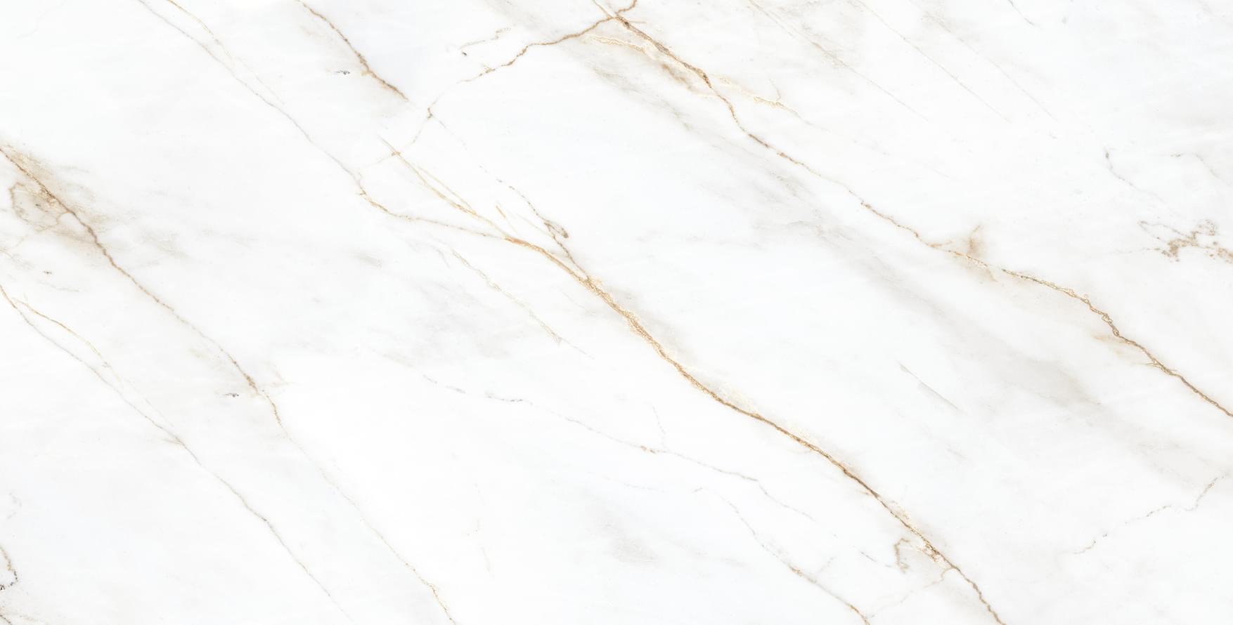 Плитка Arcadia Ceramica Selva Gold Cp 60x120 см, поверхность матовая