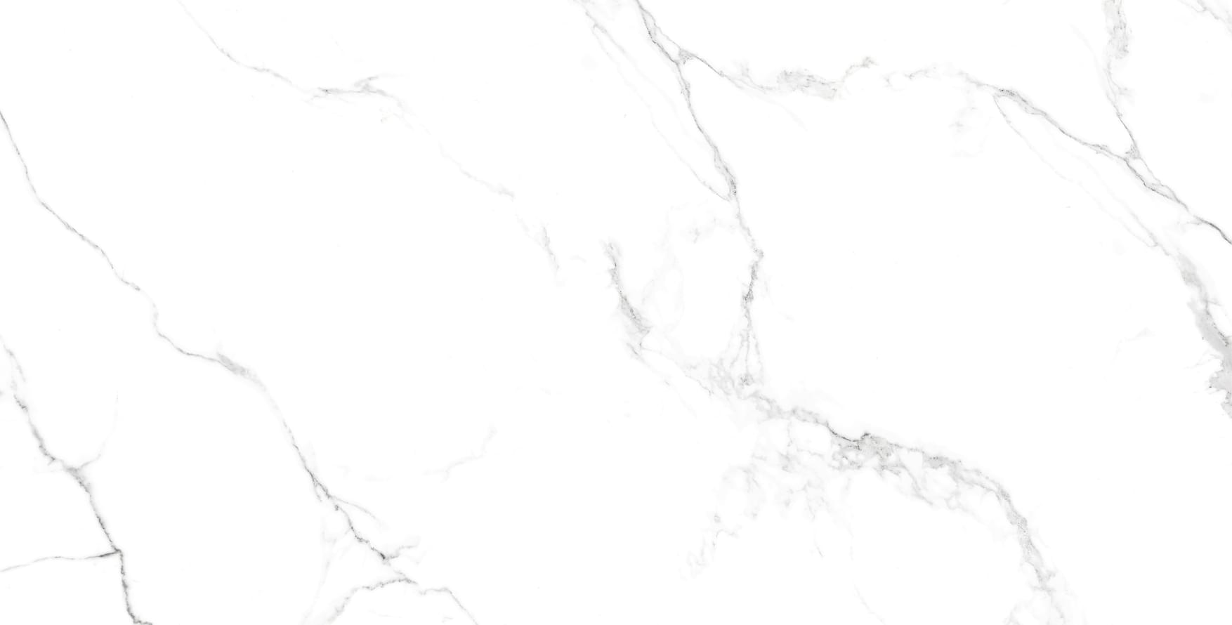 Плитка Arcadia Ceramica Statuario Fine Cp 60x120 см, поверхность микс