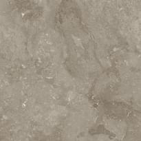 Плитка Arcana Buxi Siena 60x60 см, поверхность матовая