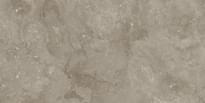 Плитка Arcana Buxi Siena R 59.3x119.3 см, поверхность матовая