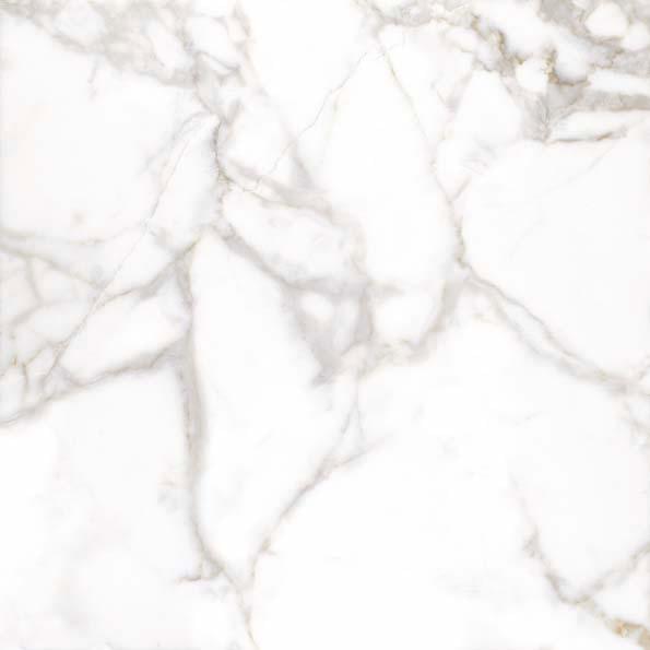 Arcana Marble Borghini R Blanco 59.3x59.3