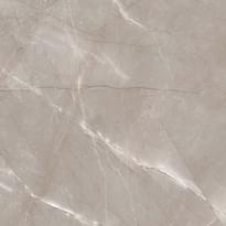 Плитка Arcana Marble Vanity R Pearl 59.3x59.3 см, поверхность полированная
