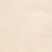 Плитка Arcana Thalassa Herse-R Marfil 59.3x59.3 см, поверхность матовая