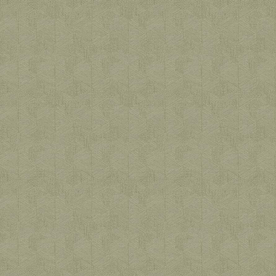 Architector Pavone Modena 1621 10.05м x 53см поверхность матовая