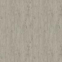 Architector Pavone Tivoli 1634 10.05x53 см, поверхность матовая