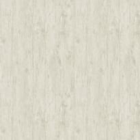 Architector Pavone Tivoli 1636 10.05x53 см, поверхность матовая