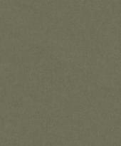 Architector Sauvage II KT41104 10м x 52см поверхность