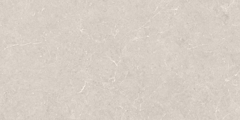 Плитка Argenta Bergstein Ivory Matt Artech 60x120 см, поверхность матовая