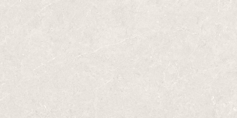 Плитка Argenta Bergstein Light Matt Artech 60x120 см, поверхность матовая