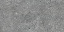 Плитка Argenta Etienne Grey RC 30x60 см, поверхность матовая