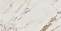 Плитка Argenta Midas Natural Gloss 60x120 см, поверхность полированная
