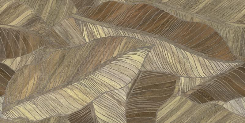 Плитка Argenta Studio Litter Decor 60x120 см, поверхность матовая