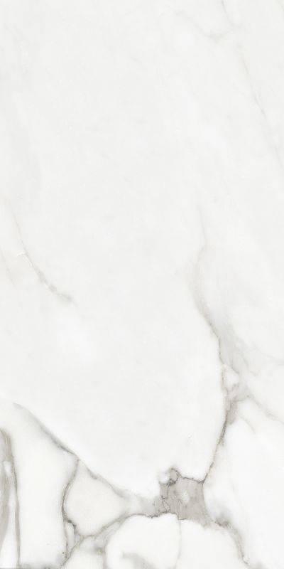 Argenta Venato Natural Matt Silk 60x120 Argenta Venato Natural Matt Silk 60x120