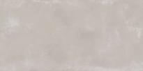Плитка Ariana Concrea Silver 40x80 см, поверхность матовая