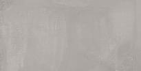 Плитка Ariana Concrea Silver Lux Rett 60x120 см, поверхность полированная
