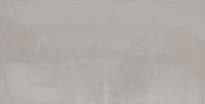 Плитка Ariana Concrea Silver Rett 60x120 см, поверхность матовая