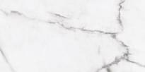 Плитка Ariana Epoque White Statuario Rett 30x60 см, поверхность матовая, рельефная