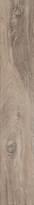 Плитка Ariana Legend Sand Rett 20x120 см, поверхность матовая