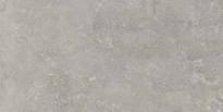 Плитка Ariana Memento Bruges Grey Nat 60x120 см, поверхность матовая