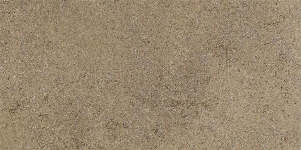 Плитка Ariostea Elementae Tellus Nat Plus 60x120 см, поверхность матовая