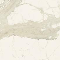 Плитка Ariostea Marble Active Calacatta Active Sq 60x60 см, поверхность матовая