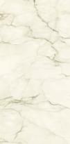 Плитка Ariostea Marmi Classici Calacatta Macchia Vecchia Lev Silk 60x120 см, поверхность полуматовая