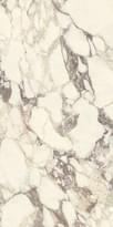 Плитка Ariostea Marmi Classici Calacatta Viola Soft 60x120 см, поверхность полуматовая