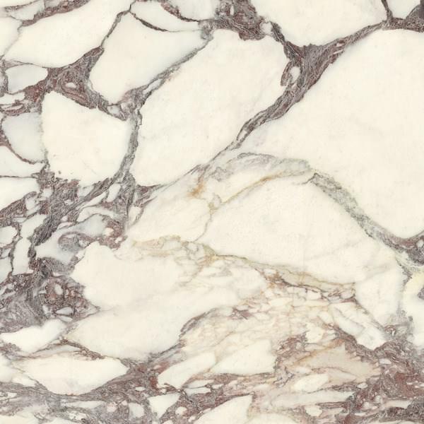 Ariostea Marmi Classici Calacatta Viola Soft Sq 60x60