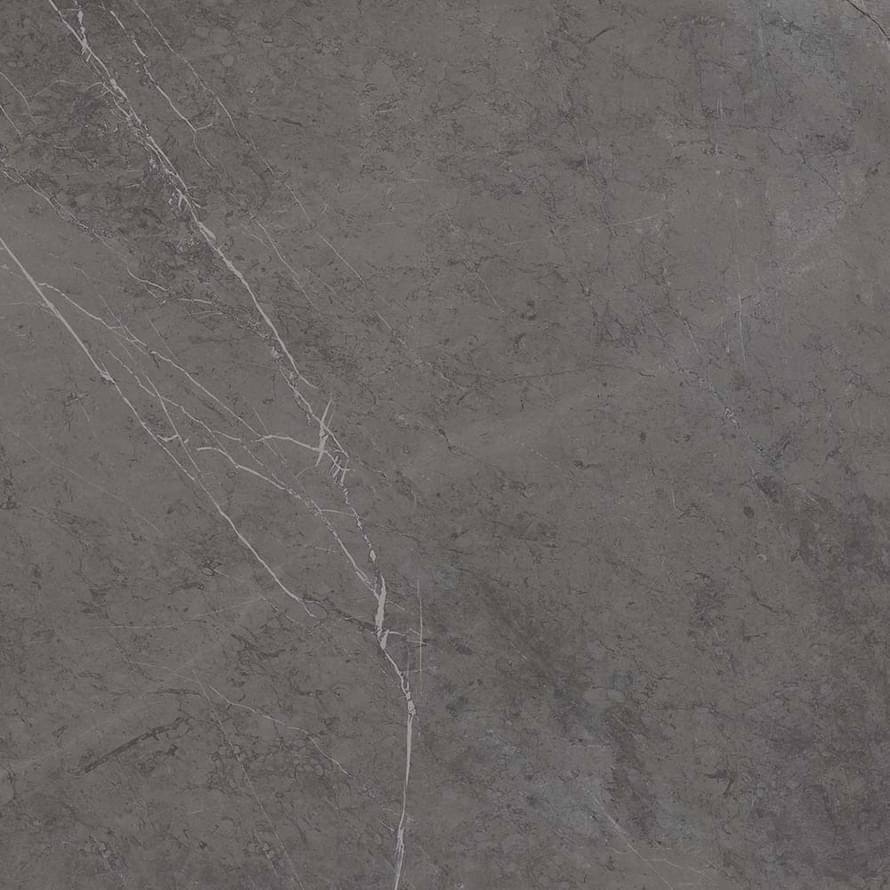 Ariostea Marmi Classici Grey Marble Naturale Sq 60x60