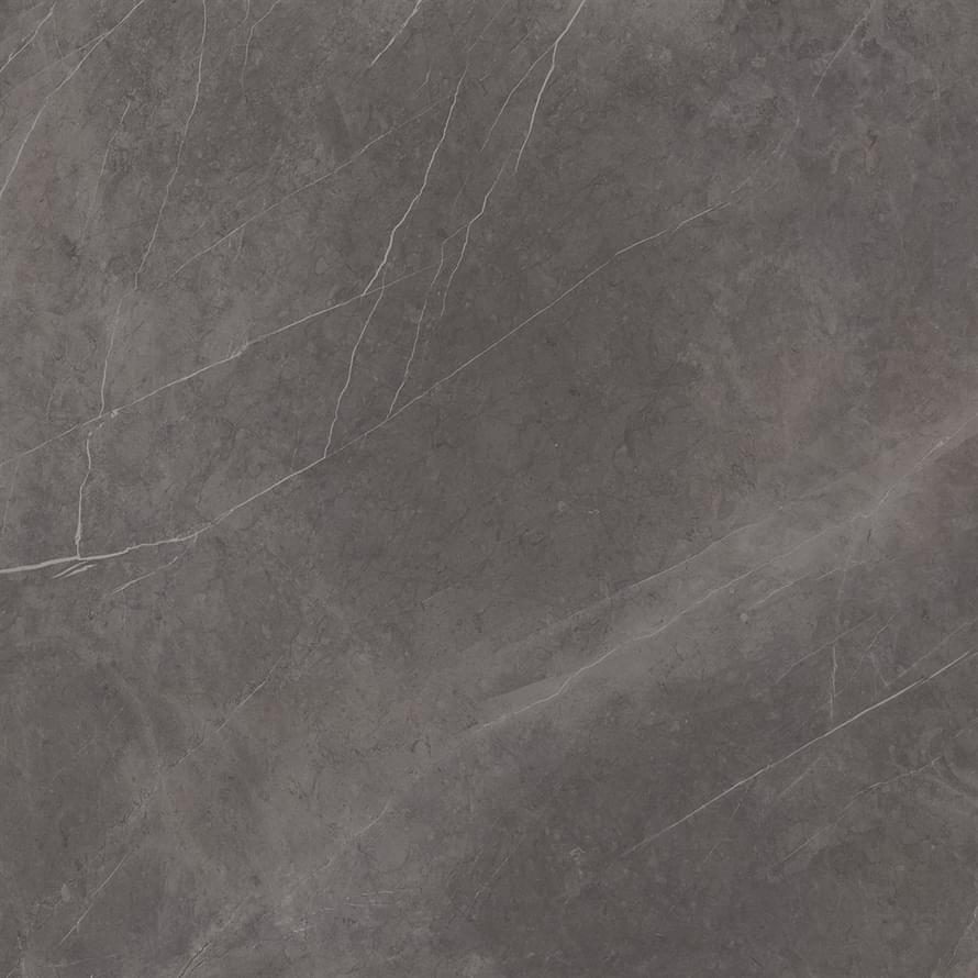 Ariostea Marmi Classici Grey Marble Soft 60x60