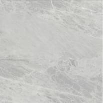 Плитка Ariostea Marmi Classici Gris De Savoie Lucidato 60x60 см, поверхность полированная