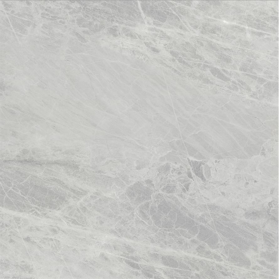 Ariostea Marmi Classici Gris De Savoie Lucidato 60x60