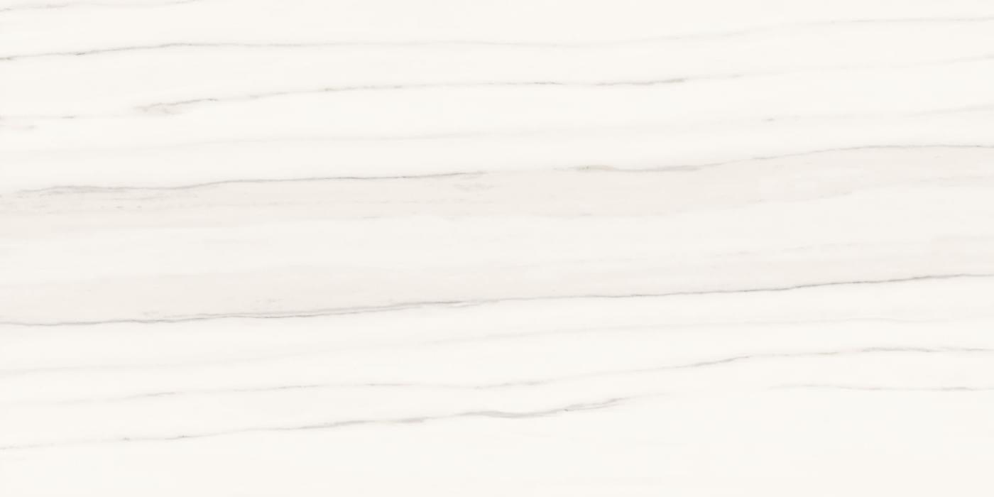 Ariostea Marmi Classici Zebrino Bianco Luc 60x120