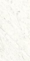 Плитка Ariostea Ultra Marmi Bianco Carrara Levigato Silk Sq 37.5x75 см, поверхность полуматовая