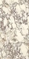 Плитка Ariostea Ultra Marmi Calacatta Viola 150x300 см, поверхность полированная
