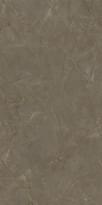 Плитка Ariostea Ultra Marmi Pulpis Bronze 6 mm Lucidato Shiny Sq 37.5x75 см, поверхность полированная