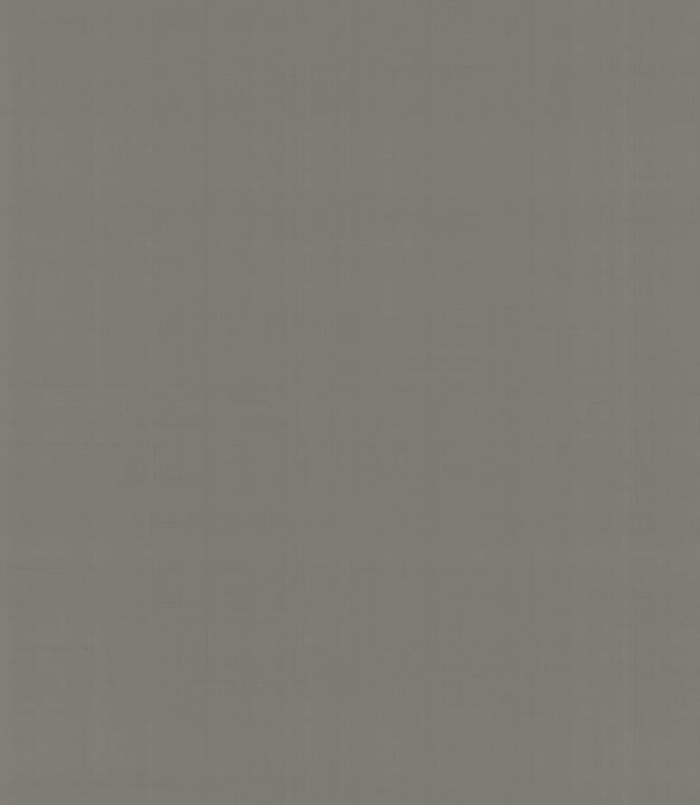 Armani Casa Precious Fibers 1 Plain Nabucco Tosca Macbeth 9066 GA1 10x87