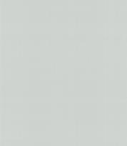 Armani Casa Precious Fibers 2 Plain Salome-Iolanta-Nabucco-Lohengrin 4791 GA4 10м x 87см поверхность матовая