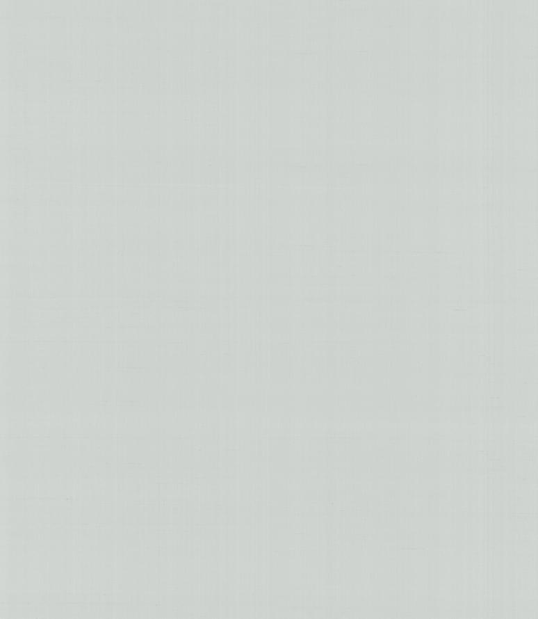 Armani Casa Precious Fibers 2 Plain Salome-Iolanta-Nabucco-Lohengrin 4791 GA4 10x87