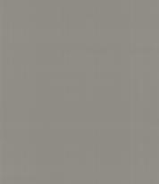 Armani Casa Precious Fibers 2 Plain Salome-Iolanta-Nabucco-Lohengrin 9060 GA4 10м x 87см поверхность матовая