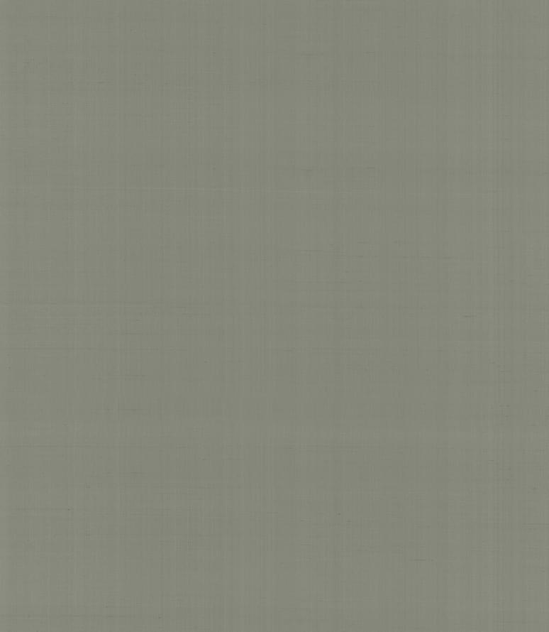 Armani Casa Precious Fibers 2 Plain Salome-Iolanta-Nabucco-Lohengrin 9061 GA4 10x87